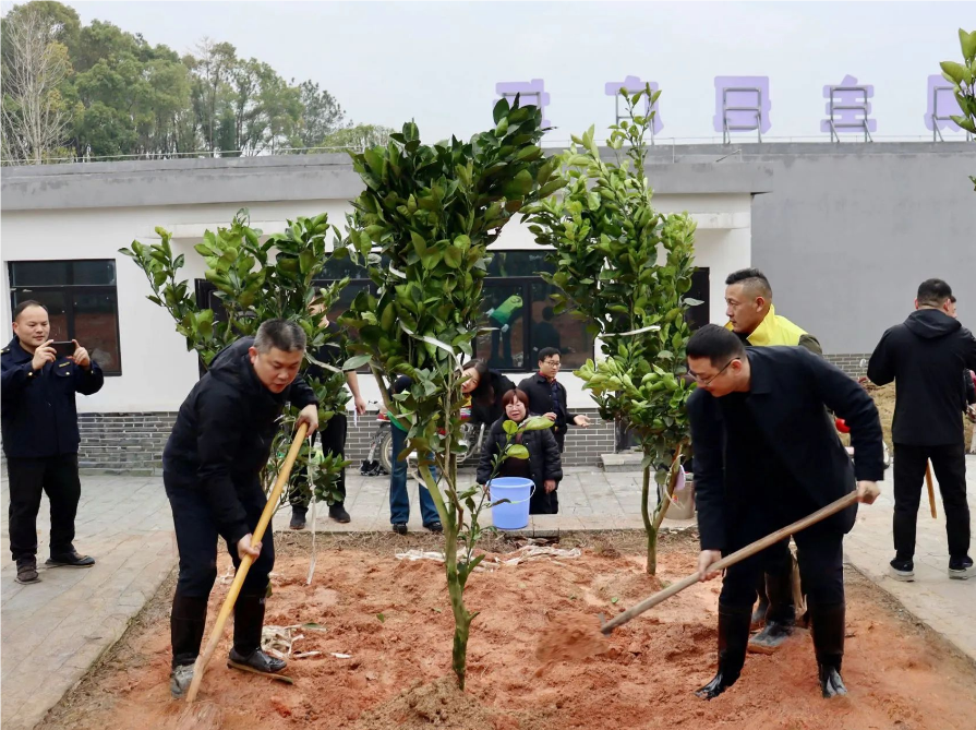 QQ_1742361404198.png QQ_1742361404198.png