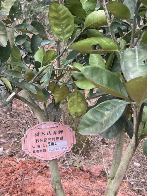 QQ_1742361465049.png QQ_1742361465049.png